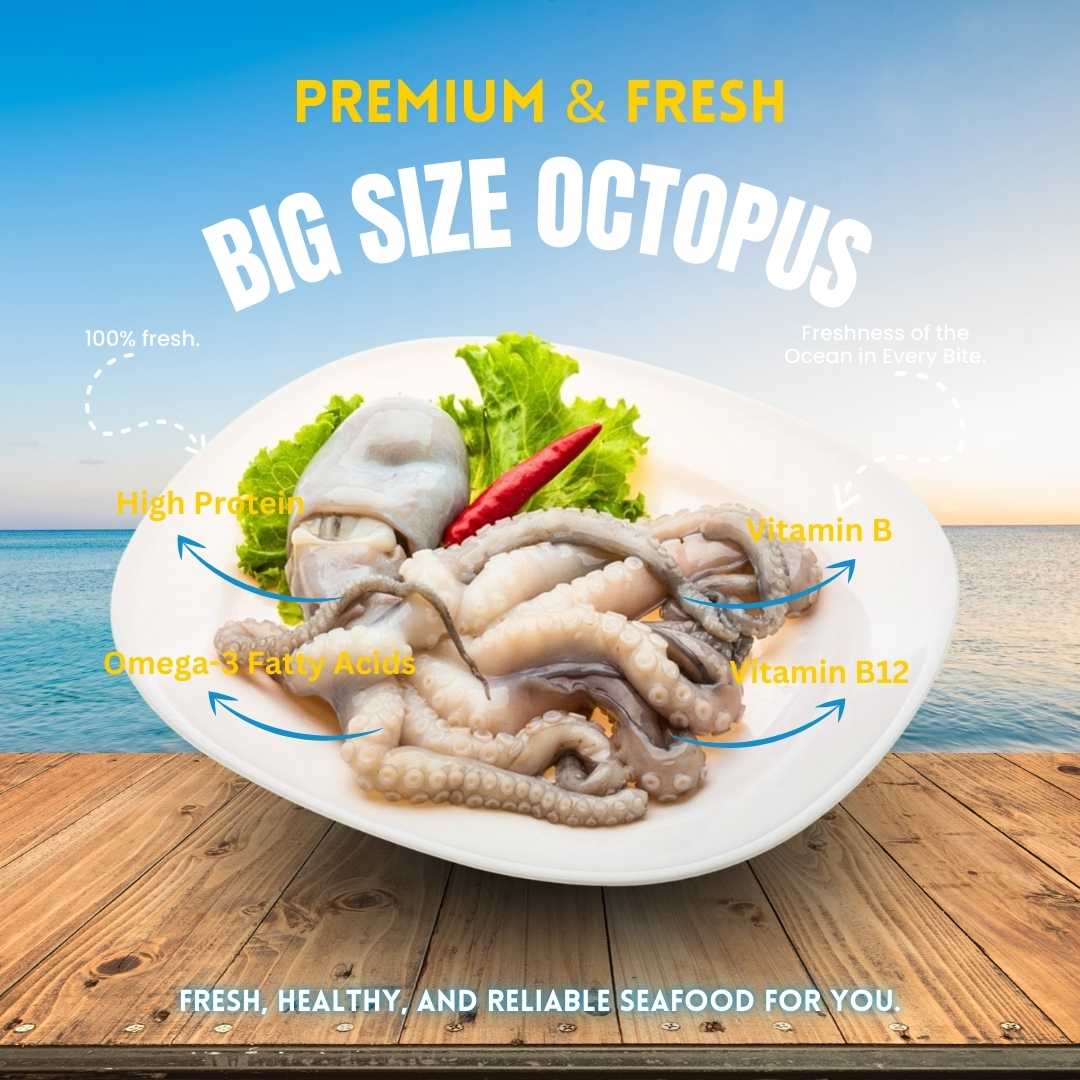 OCTOPUS SPECIAL (BIG Raw)