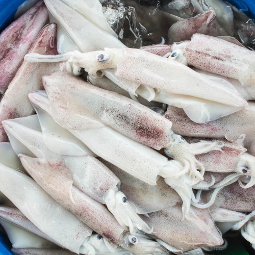 AJL Sea Food