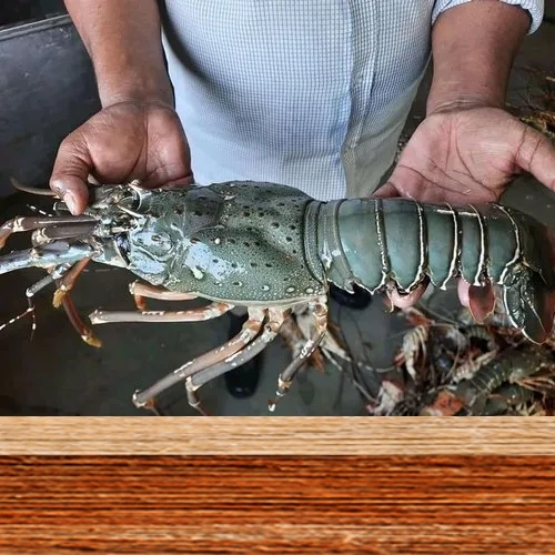 AJL Sea Food