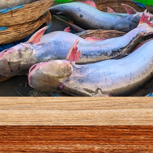 AJL Sea Food