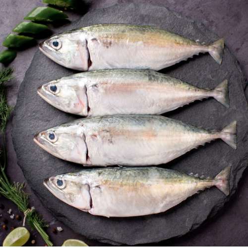 AJL Sea Food