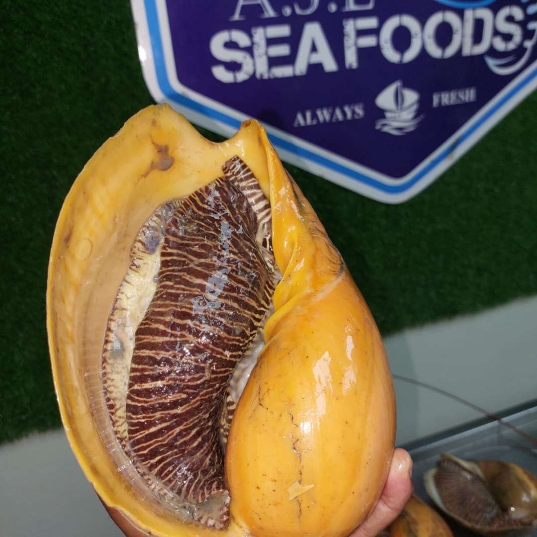 AJL Sea Food