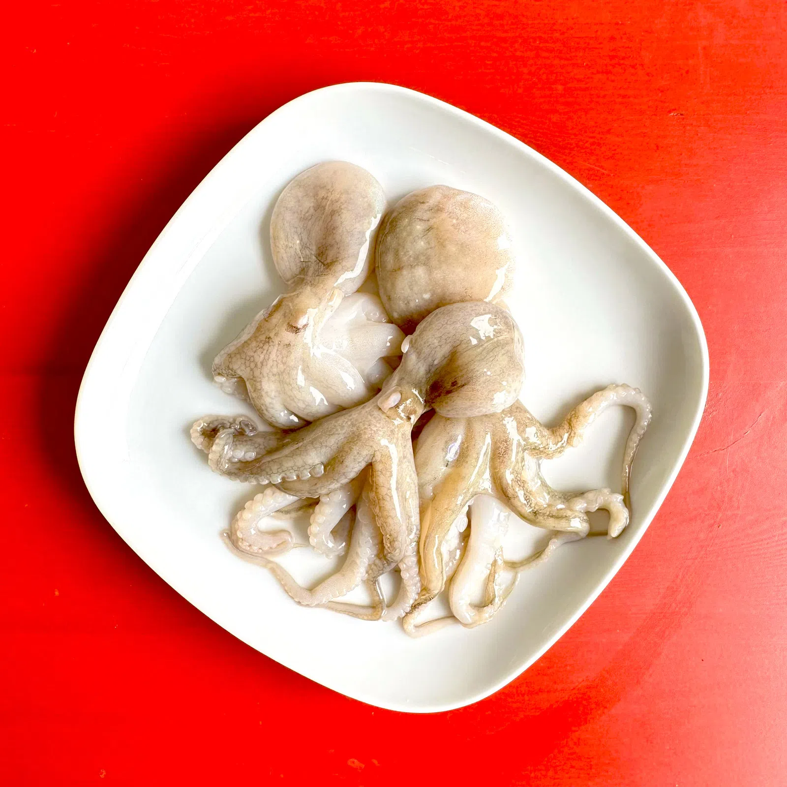 AJL Sea Food