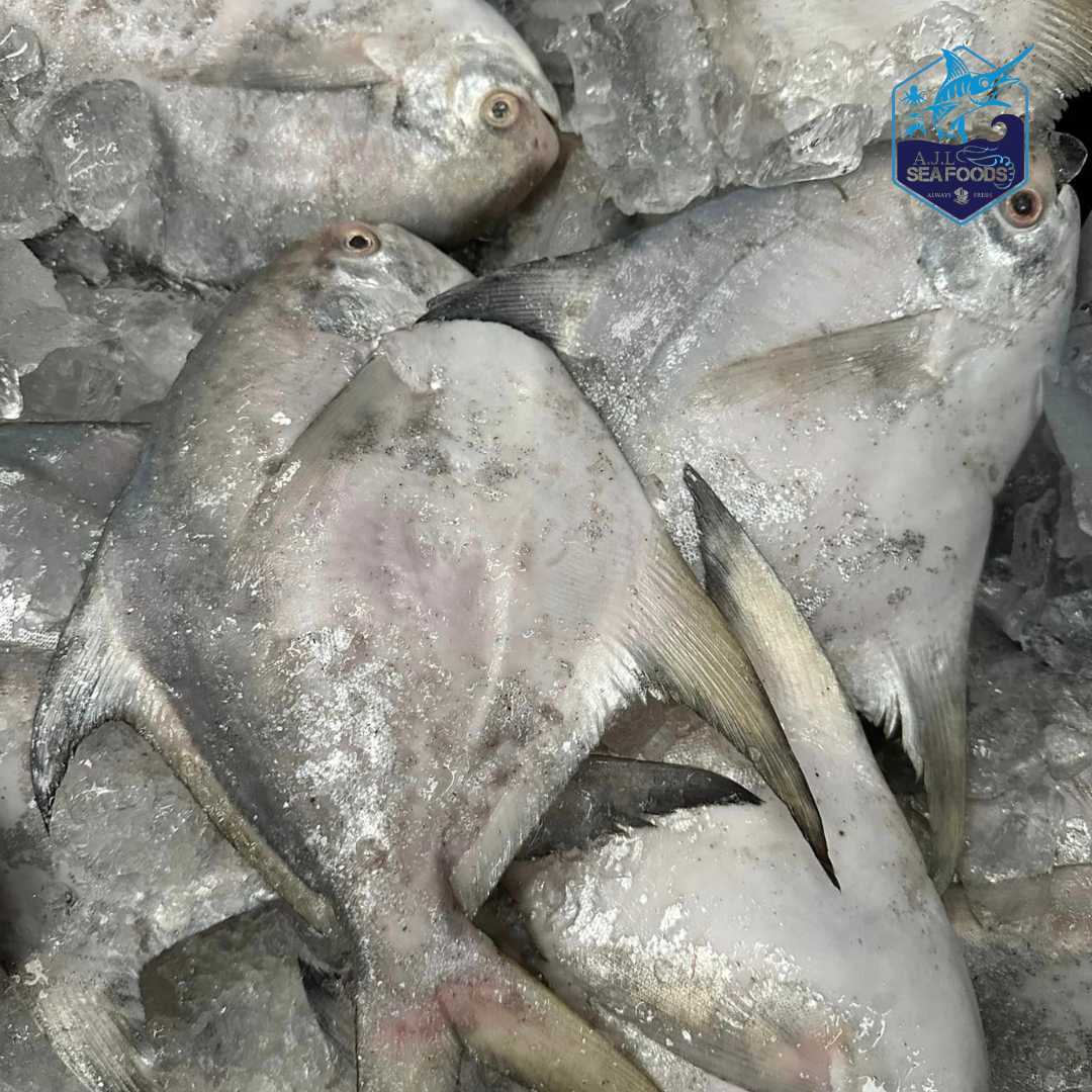 AJL Sea Food