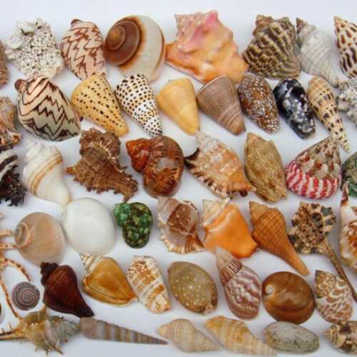 AJL Sea Food