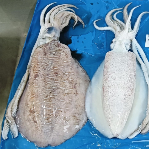 AJL Sea Food