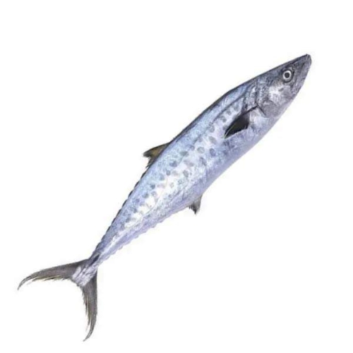 AJL Sea Food