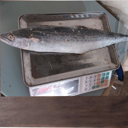 AJL Sea Food