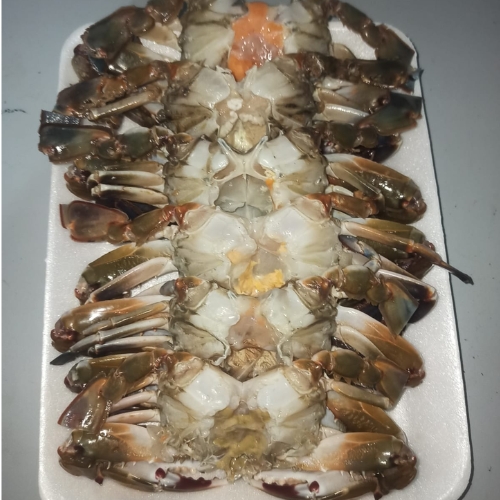 AJL Sea Food