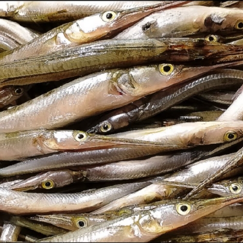 AJL Sea Food