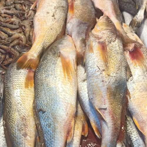 AJL Sea Food