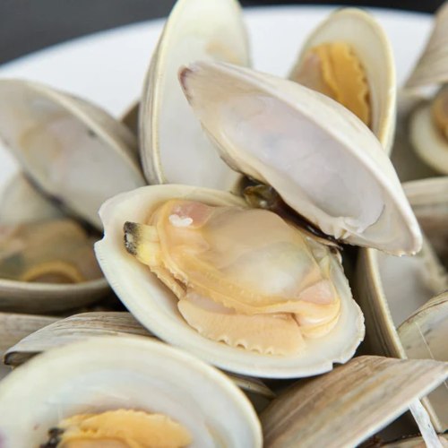 ক্লামস/ Clams