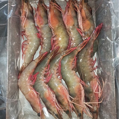 AJL Sea Food