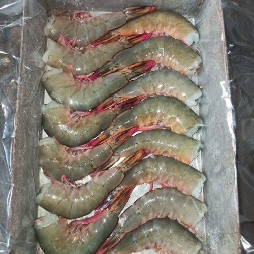 AJL Sea Food