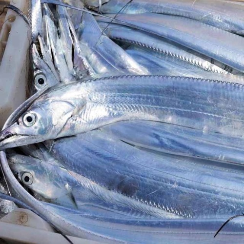 AJL Sea Food