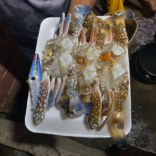 AJL Sea Food